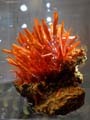 Crocoite