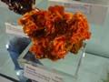 wulfenite