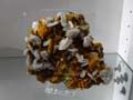 Barite on Wulfenite