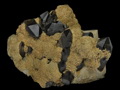морион клевеланди и микроклин, голодная, алабашка, средний урал